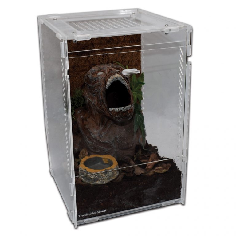 Acrylic Arboreal Terrarium The Spider Shop