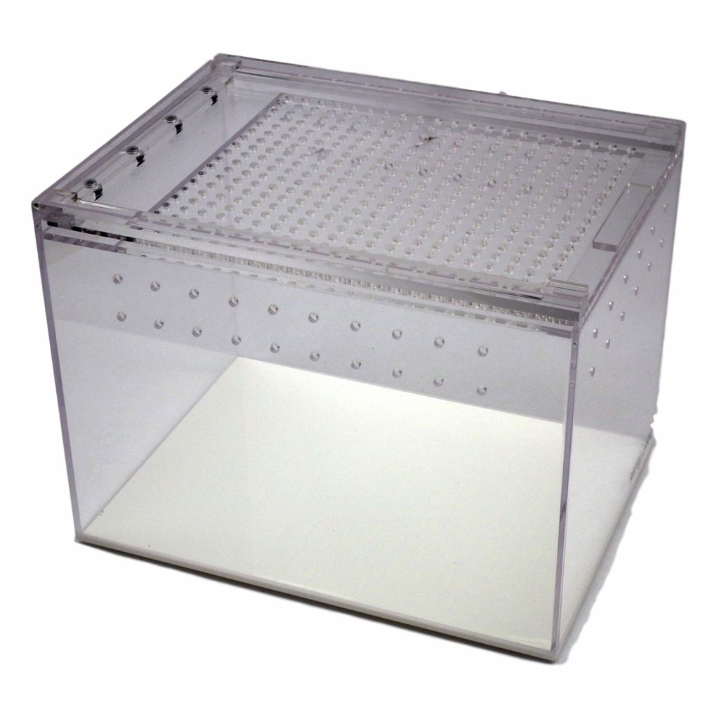 Acrylic Enclosure The Spider Shop