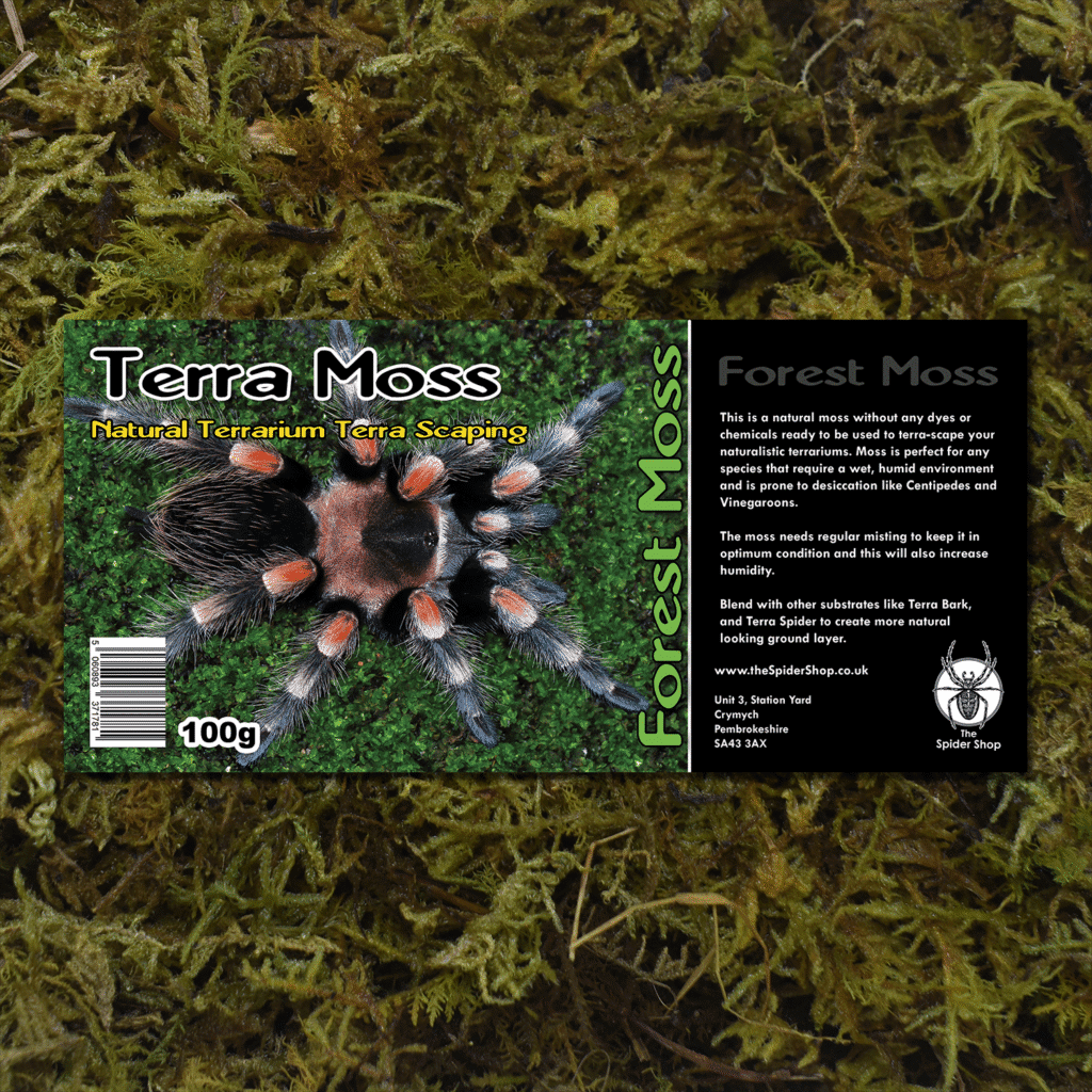 Substrates - The Spider Shop