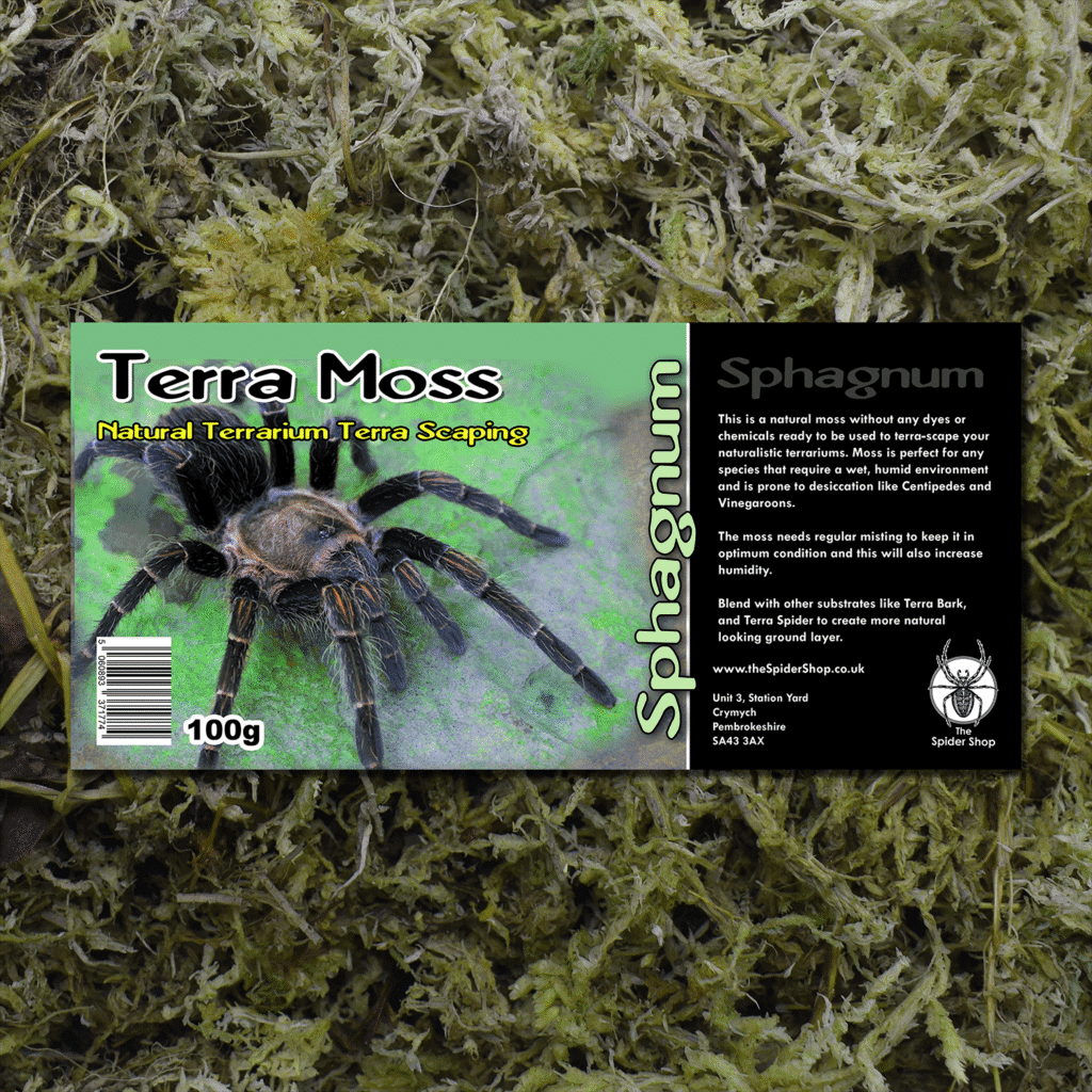 Substrates - The Spider Shop